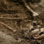 Ανθρώπινος σκελετός και αρχαίος αμφορέας βρέθηκαν στην Κάτω Αχαΐα – Οι πρώτες εκτιμήσεις