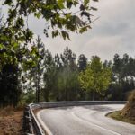 Κύμα αντιδράσεων στην Ιταλία για την οικογένεια που ζει μέσα στο δάσος