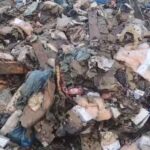 Κέρκυρα: Παρέμβαση του Ιατρικού Συλλόγου για τα ζωικά υπολείμματα – Διαμαρτυρίες των πολιτών