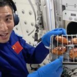 Κινέζοι αστροναύτες κατάφεραν να κάνουν το πρώτο μπάρμπεκιου σε διαστημικό σταθμό