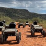 FireAnt: Τα μικρά πολεμικά ρομπότ που συνεργάζονται και εξουδετερώνουν τανκς