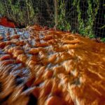 Κόκκινος συναγερμός για την κακοκαιρία σε τέσσερις περιοχές: Ισχυρές βροχές και στην Αττική