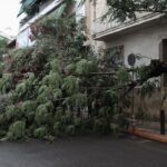 Θεσσαλονίκη: Δύο πτώσεις δέντρων λόγω της κακοκαιρίας – Ζημιές σε σταθμευμένα αυτοκίνητα
