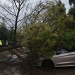Πτώση δέντρων στο Μαρούσι: Καταστράφηκαν αυτοκίνητα – Τι κατέγραψε ο φακός του CNN Greece