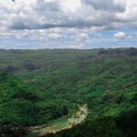 Τέσσερις γαλλικές τράπεζες κατηγορούνται από ΜΚΟ ότι χρηματοδοτούν την αποψίλωση του Αμαζονίου