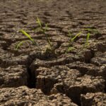 Δυτική Ελλάδα: Έρχεται το παρατηρητήριο προσαρμογής στην κλιματική αλλαγή – Πώς θα λειτουργεί