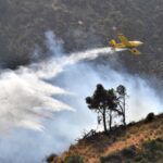 Αλγερία: Ο πρόεδρος Τεμπούν διατάσσει έρευνα για τα αίτια των πυρκαγιών