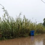 Η κακοκαιρία «σάρωσε» τη Μυτιλήνη: Πλημμύρισαν σπίτια σε Καλλονή και Σκάλα – Κλειστά σχολεία