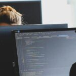 Εντός της εβδομάδας ανοίγει η πλατφόρμα για το νέο πρόγραμμα επιδότησης εργασίας