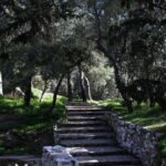 Ο Δήμος Αθηναίων επαναλειτουργεί τον «Εξωστρεφή» στον Λόφο του Στρέφη