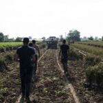 Πληρώνεται σήμερα η προκαταβολή της βασικής ενίσχυσης στους αγρότες