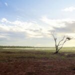 COP30: Ο Αμαζόνιος υποδέχεται τη διάσκεψη του ΟΗΕ για την Κλιματική Αλλαγή