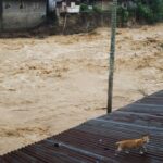Ξεπερνούν τους 350 οι νεκροί σε Ινδονησία,Ταϊλάνδη και Μαλαισία από τις καταστροφικές πλημμύρες