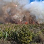 Νέα Ζηλανδία: Από τη βροχή έσβησε η πυρκαγιά που έκαιγε το παλαιότερο εθνικό πάρκο