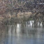 Ανεβαίνει η στάθμη του Πηνειού – Σε αυξημένη επιφυλακή ο Δήμος Λάρισας