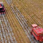 ΟΠΕΚΕΠΕ: Οικογενειακή μπίζνα είχε στήσει ο αρχηγός αγροτοσυνδικαλιστής της σπείρας στην Κρήτη