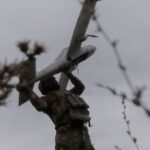 Νέο ρωσικό σφυροκόπημα με drones και πυραύλους στην Ουκρανία – Η Μόσχα κατέρριψε 77 drones