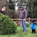 Γιατί τα αληθινά χριστουγεννιάτικα δέντρα είναι δημοφιλή σε πάρκα άγριας ζωής