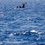 Διάσωση 60 μεταναστών στα ανοιχτά της Μάλτας μετά την ανατροπή του σκάφους τους