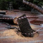 Ηράκλειο: Πτώσεις δέντρων και ζημιές προκάλεσε ολιγόλεπτη καταιγίδα