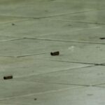 Σφαίρα από μπαλωθιές «καρφώθηκε» σε παράθυρο πολυκατοικίας στο Ηράκλειο