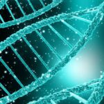 «Κασέτα DNA» αποθηκεύει έως και 1,5 εκατ. φορές περισσότερα δεδομένα από ένα smartphone