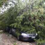 Θεσσαλονίκη: Δέντρο έπεσε στη Χαριλάου και καταπλάκωσε σταθμευμένα αυτοκίνητα