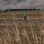 Αγρότες: Πώς έγινε η καταβολή της βασικής ενίσχυσης – Ποιες πληρωμές ακολουθούν