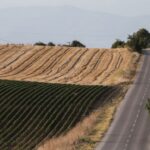 Τι απαντά ο αγροτοσυνδικαλιστής από τα Μάλγαρα για τα χωράφια «φαντάσματα» και τις επιδοτήσεις