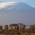 Συντριβή ελικοπτέρου στο όρος Κιλιμάντζαρο της Τανζανίας με 5 νεκρούς