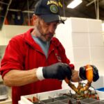 ΗΠΑ: Φορτίο αστακού αξίας 340.000 έκανε φτερά – Έρευνες και από το FBI