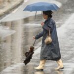 Καιρός: Τσουχτερό κρύο και θυελλώδεις άνεμοι την Δευτέρα – Πού θα σημειωθούν βροχές