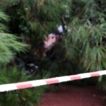 Δέντρο ξεριζώθηκε και κατέρρευσε σε παιδική χαρά στο Χαϊδάρι