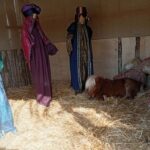 Βόλος: Αντιδράσεις από φιλόζωους για το ζωντανό αλογάκι πόνυ σε φάτνη