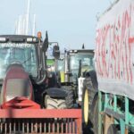 Αγρότες: «Χωρίς εμάς, τι θα φας;» – Ο «Daniel», η ευλογιά και η απόγνωση στον πρωτογενή τομέα