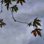 Καιρός: Αραιές νεφώσεις και τοπικές βροχές στα δυτικά – Σταθερή παραμένει η θερμοκρασία