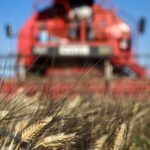 ΟΠΕΚΕΠΕ: Νέες πληρωμές 25,3 εκατ. ευρώ σε πάνω από 43.000 δικαιούχους