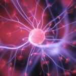 Επιστήμονες ανακαλύπτουν την κρυφή δύναμη του εγκεφάλου να καίει λίπος