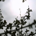 Καιρός: Αλλαγή χρόνου με αισθητή πτώση της θερμοκρασίας και ανέμους έως 8 μποφόρ