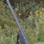 Χανιά: Μυστήριο ο τραυματισμός 43χρονου από σκάγια κυνηγετικής καραμπίνας – Τι ερευνάται