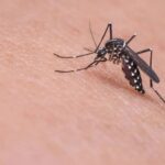 Επιδημία δάγκειου πυρετού σκορπά τον θάνατο σε παιδιά και εφήβους στην Κούβα