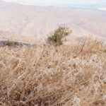 Αναρτήθηκαν οι πίνακες δικαιούχων της Εξισωτικής Αποζημίωσης 2025 – Έως 24 Δεκεμβρίου οι ενστάσεις