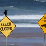 Στο νοσοκομείο 13χρονος μετά από επίθεση από καρχαρία στην Αυστραλία