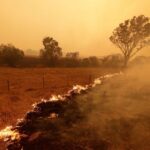 Ανεξέλεγκτες φωτιές μαίνονται στην Αυστραλία – «Έρχονται καταστροφικές συνέπειες»