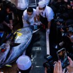 Ιαπωνία: Τόνος έπιασε τιμή – ρεκόρ 2,78 εκατ. ευρώ στην πρωτοχρονιάτικη δημοπρασία