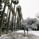 Κλειστοί οι βρεφονηπιακοί και οι παιδικοί σταθμοί του Δήμου Αθηναίων αύριο