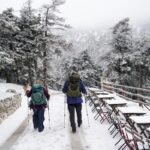 Καιρός: «Τετραήμερο ουκρανικό ψύχος» από αύριο με βοριάδες και χιόνια – Η πρόβλεψη Τσατραφύλλια