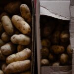 Αγρόκτημα στη Γερμανία χαρίζει εκατομμύρια πατάτες μετά την υπερβολικά μεγάλη συγκομιδή