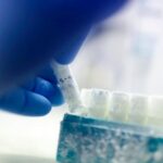 Γονιμοποίηση με δότη σπέρματος: Δεν μηδενίζεται πλήρως ο γενετικός κίνδυνος – Γενετίστρια εξηγεί