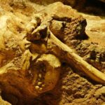 Νέα έρευνα κοντά στον αρχαιότερο πρόγονο της ανθρωπότητας – Έζησε πριν από επτά εκατ. χρόνια